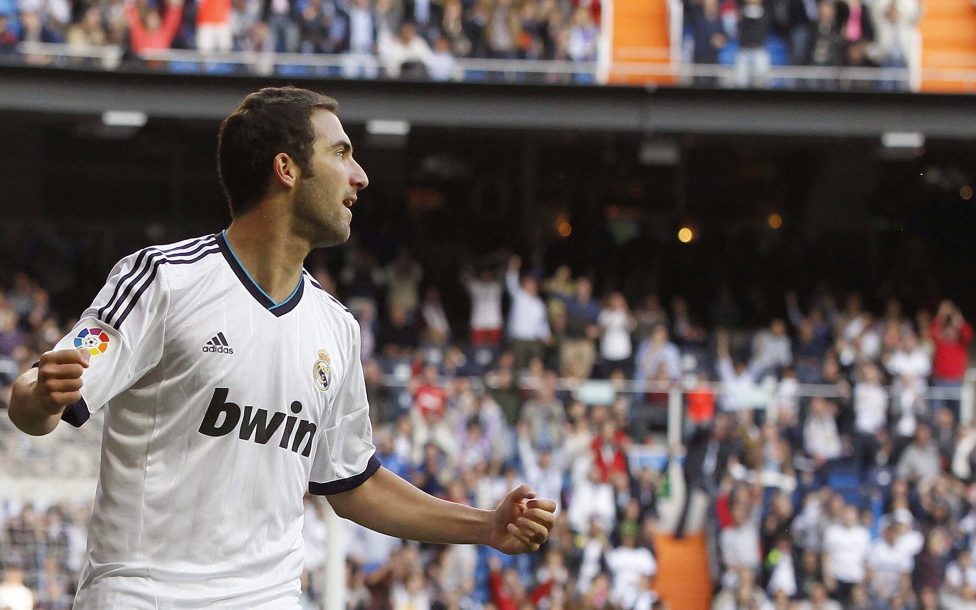 世界杯后：社交平台上出现“失落球队粉丝互助小组” 互相安慰度过空窗期